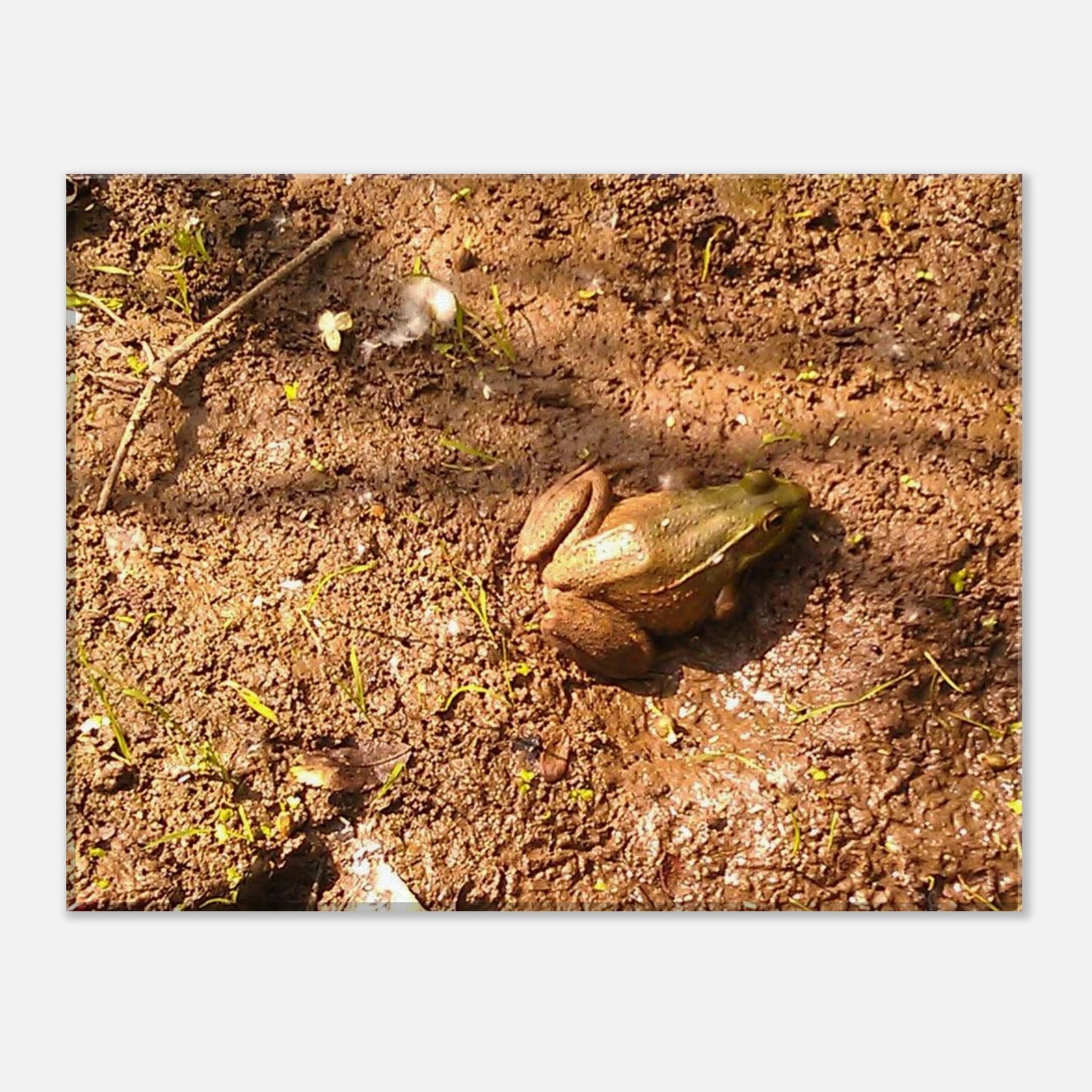 17ae6cbf-1e11-4c78-a69d-b12a3588bf8e